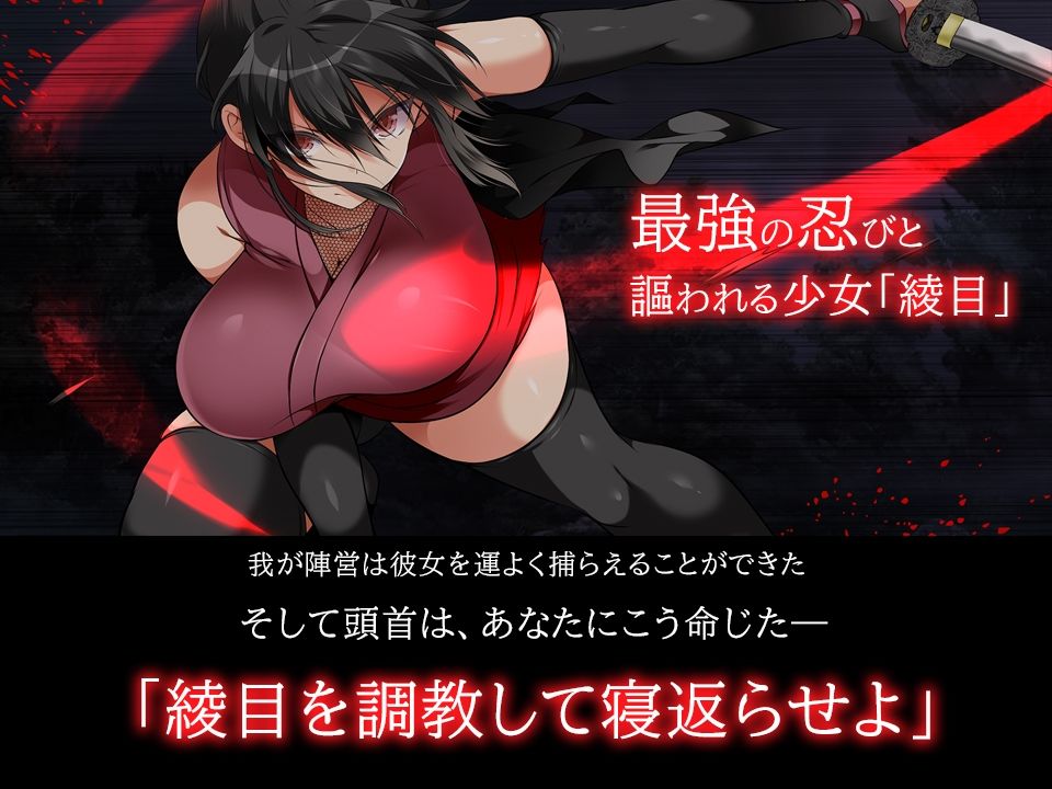 忍堕とし【動画&コミックCG集版】 サンプル画像 9