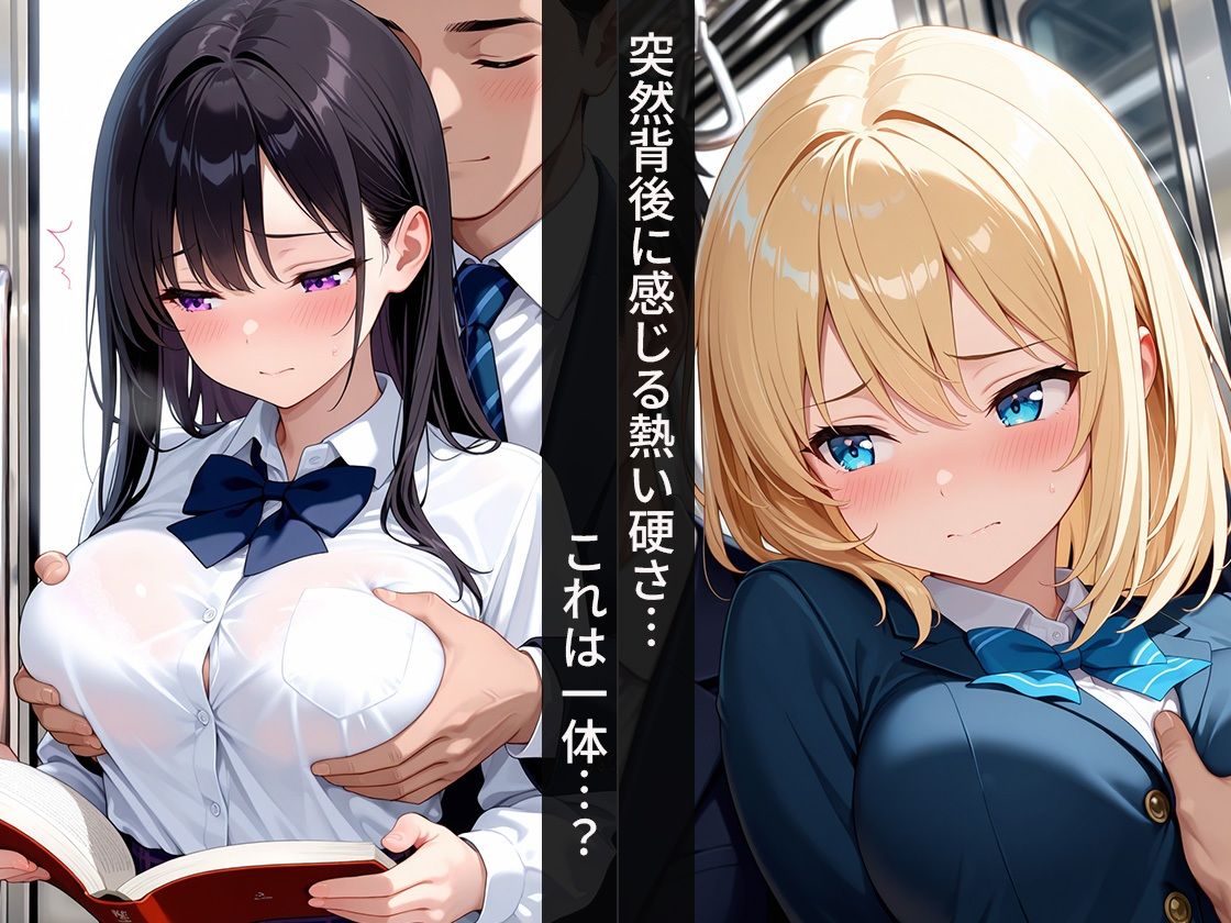 女子校生肉便器〜電車レ●プ編〜 サンプル画像 3