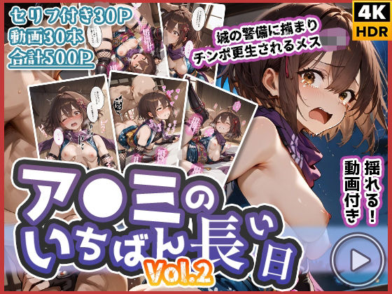 ア◯ミのいちばん長い日Vol.2〜城の警備に捕まりチンポ更生されるメス◯キ〜