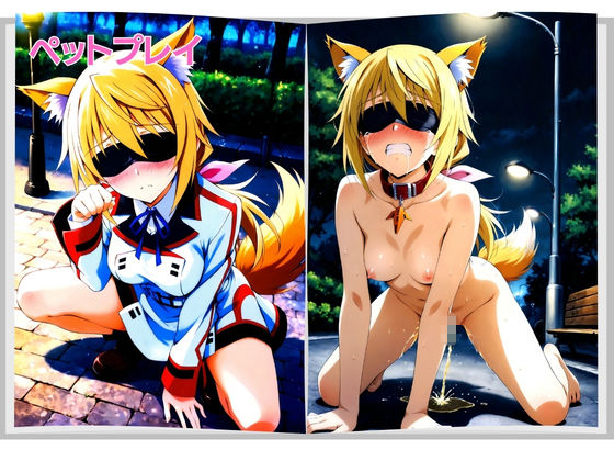 美少女宅配便 〜届いた美少女を壊れるまで犯し尽くす〜 シ◯ルロット・デュノア 編｜SHIN サンプル画像 5