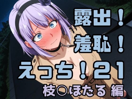 露出！羞恥！えっち！二次創作イラスト集21［枝○ほたる］｜ギリギリあんだーどっぐ