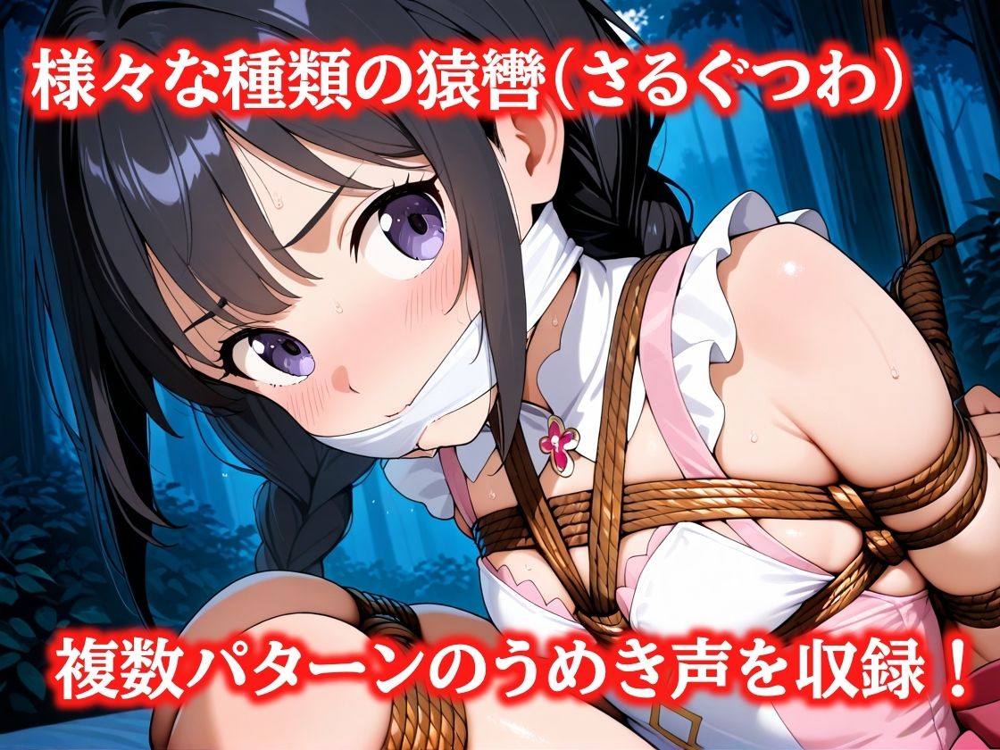 猿轡悶絶リレー 〜15人の美少女が口を塞がれうめき声を上げる〜