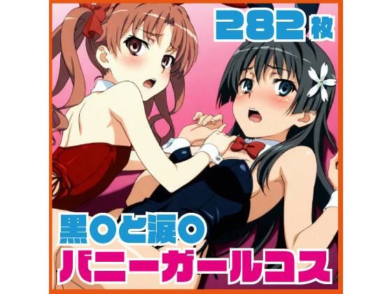 黒〇と涙〇 バニーガールコス 282枚｜SilkyMoment