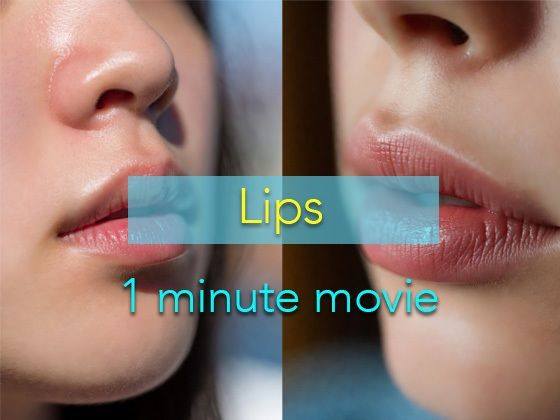 1分動画 Lips｜もりくまぐらふ