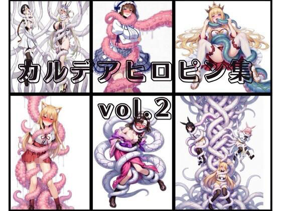 カルデアヒロピンCG集vol.2｜性癖工房R
