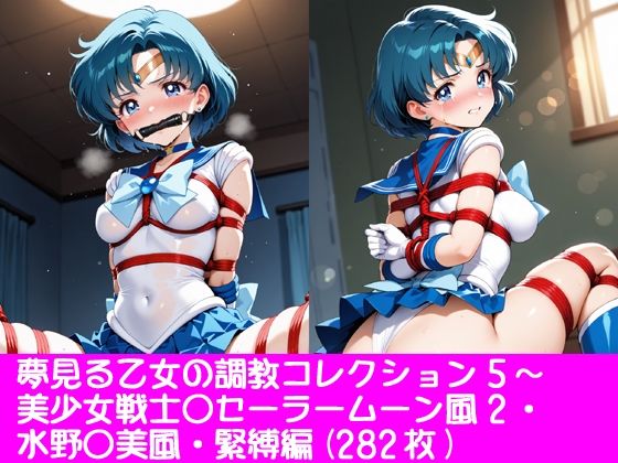 夢見る乙女の調教コレクション5〜美少女戦士〇ーラームーン風2・水野〇美風・緊縛編