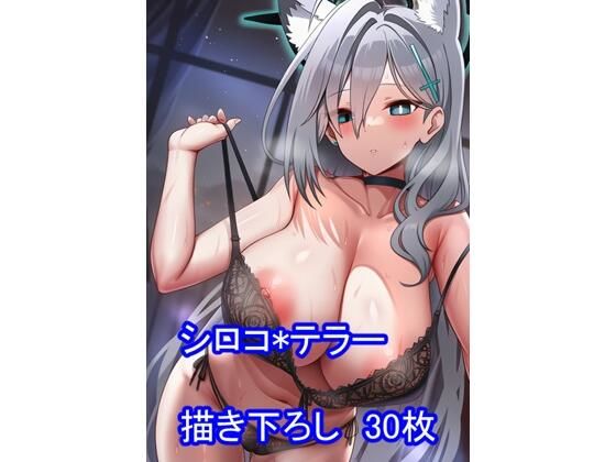 ○ルー○ーカイブ ○ロコ*○ラー ver2|フェリスシルキー