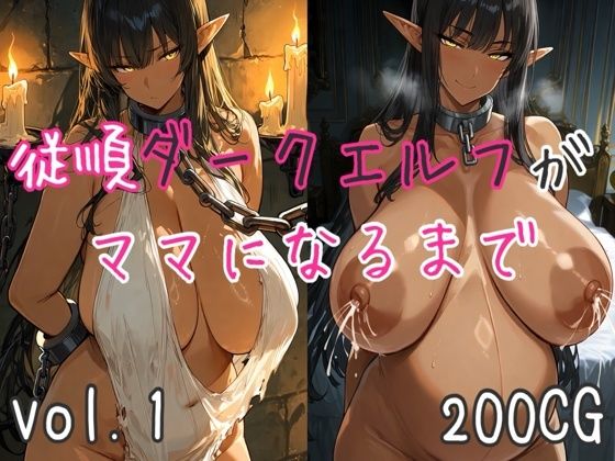 従順ダークエルフがママになるまで｜混沌AI工房