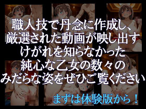 純潔乙女落花妖艶録 其ノ六 ア●ちゃん編｜赤鯖同人加工工場 サンプル画像 2