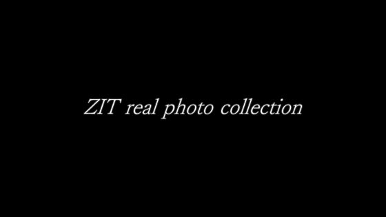 ZIT real photo collection｜猫の手産業