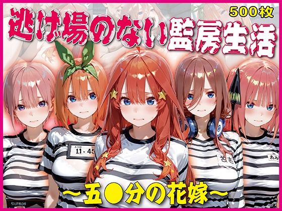逃げ場のない監房生活〜五〇分の花嫁〜【豪華CG500枚収録】｜奪われた純愛