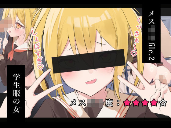 メス〇キfile.2｜ノクターン工房