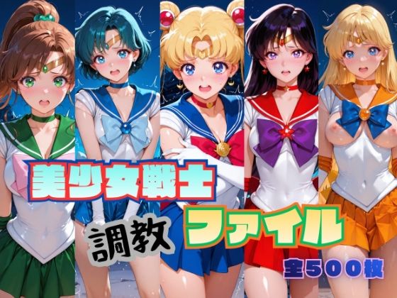 美少女戦士 調教ファイル セーラー◯ーン 篇｜RITZ STATION