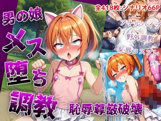 男の娘メス堕ち調教・恥辱尊厳破壊〜お姉さん達に恥ずかしい恰好で責められて尊厳破壊されメス堕ち屈服させられちゃう男の娘の話｜saltワークス