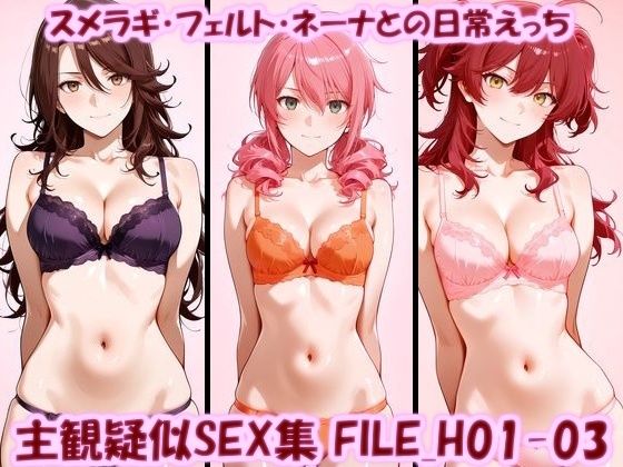 主観疑似SEX集 FILE_H01-03 スメラギ・フェルト・ネーナとの日常えっち｜美乳淫