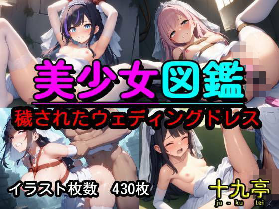 美少女図鑑  穢されたウェディングドレス｜十九亭