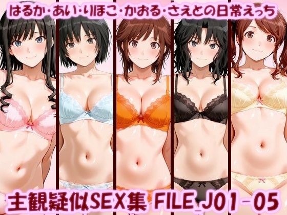 主観疑似SEX集 FILE_J01-05 はるか・あい・りほこ・かおる・さえとの日常えっち｜美乳淫
