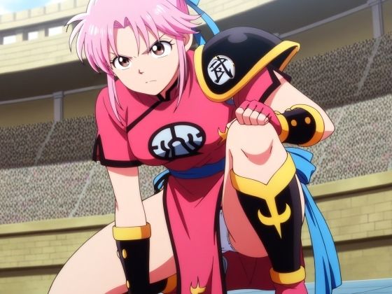 武闘家マ〇ムパンチラCG集2（全100枚）＋簡易パンチラアニメ10本セット_model2｜パンチラManiax