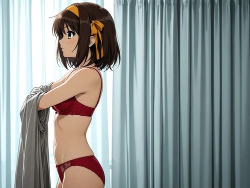 ハルヒ下着画像集｜八夜サークル サンプル画像 2