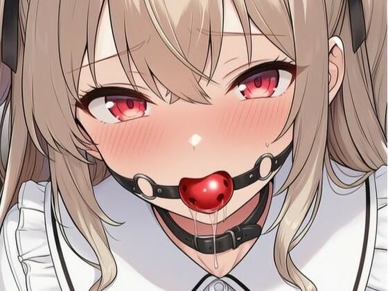 【音声付き】緊縛された女の子動画集 〜ボールギャグ編〜｜彩屋