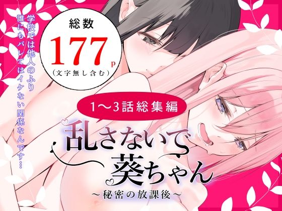 乱さないで葵ちゃん〜秘密の放課後〜総集編｜ノクターン工房