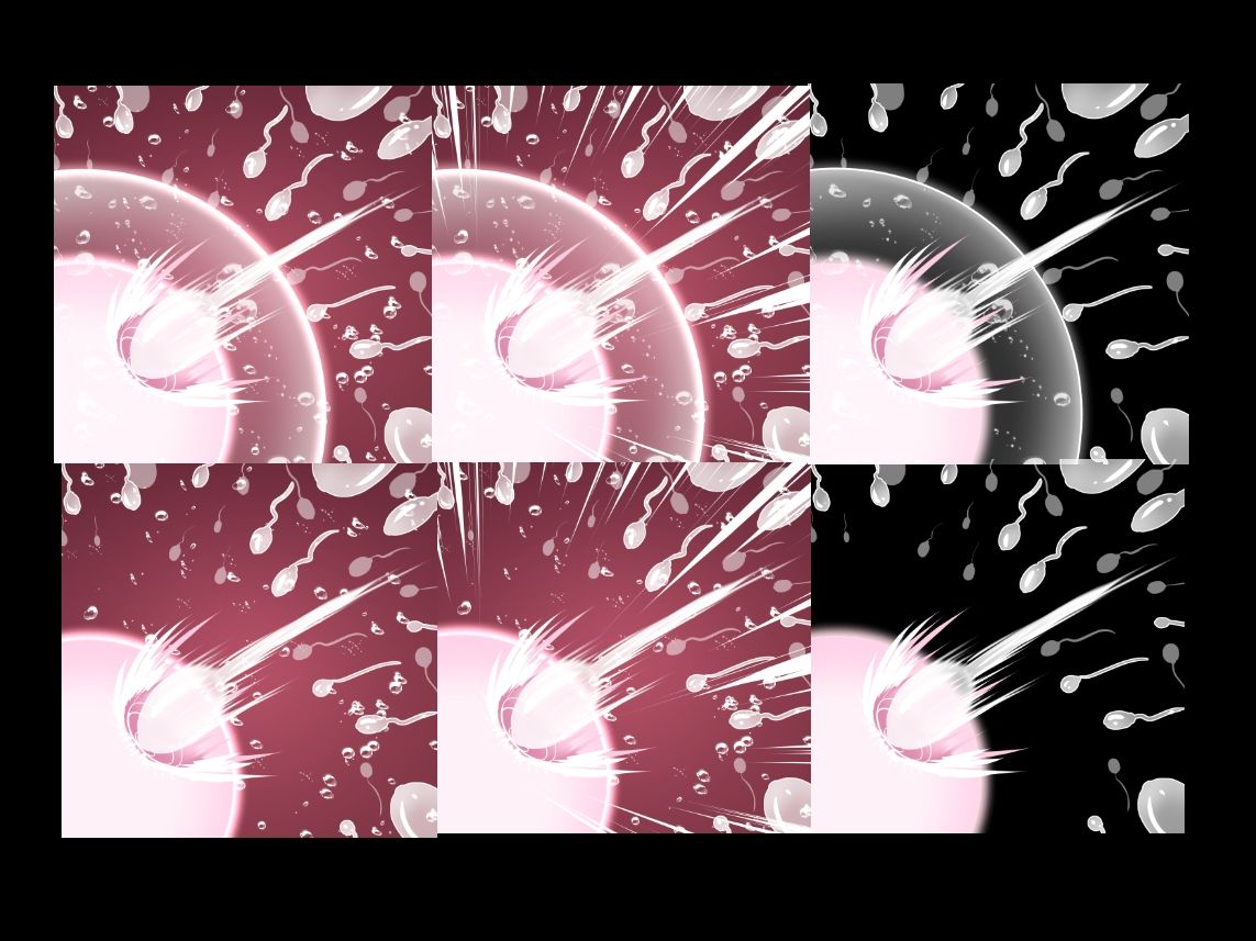 受精卵素材7|水の木 サンプル画像 3