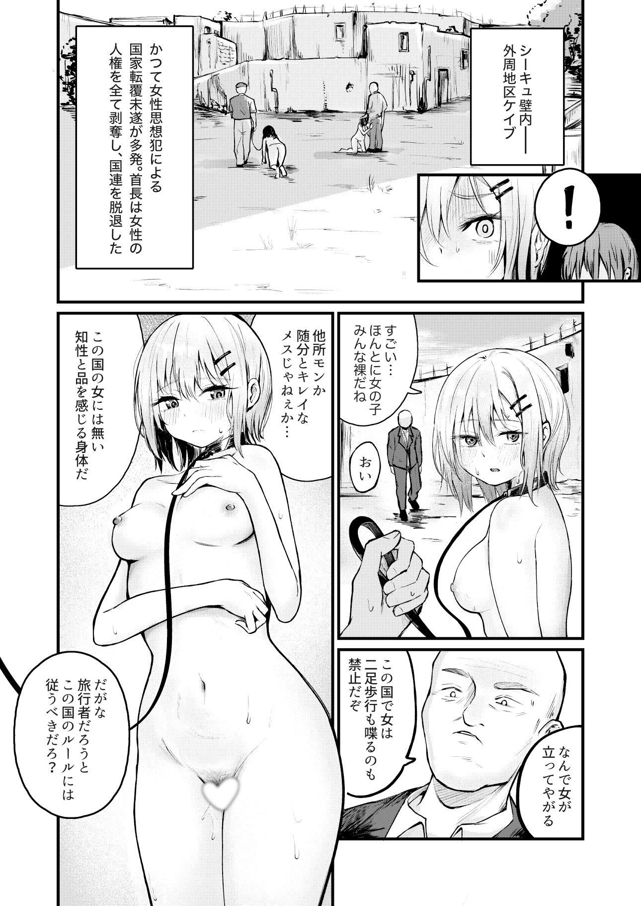 女性の権利が失われた国 サンプル画像 9