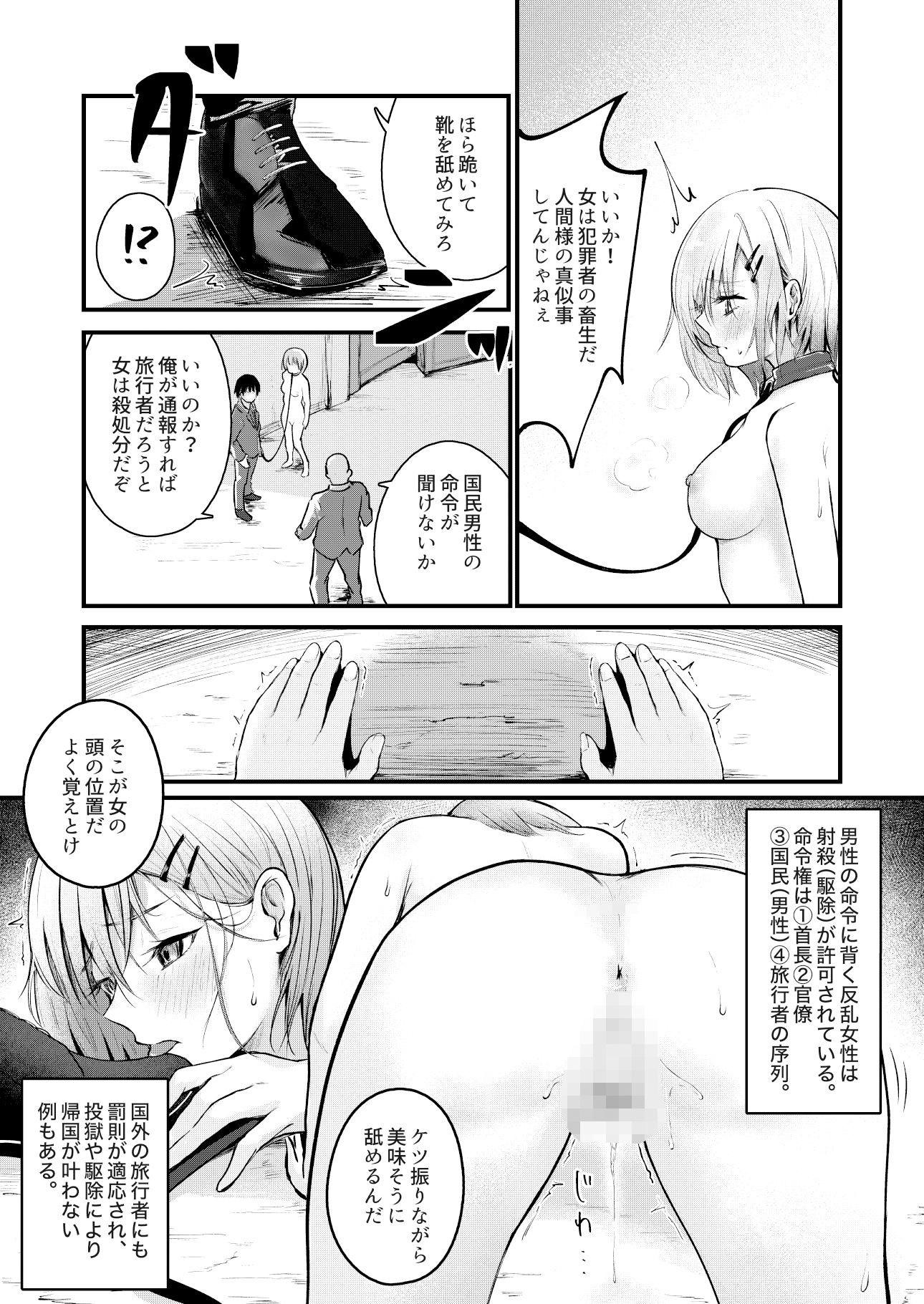 女性の権利が失われた国 サンプル画像 10