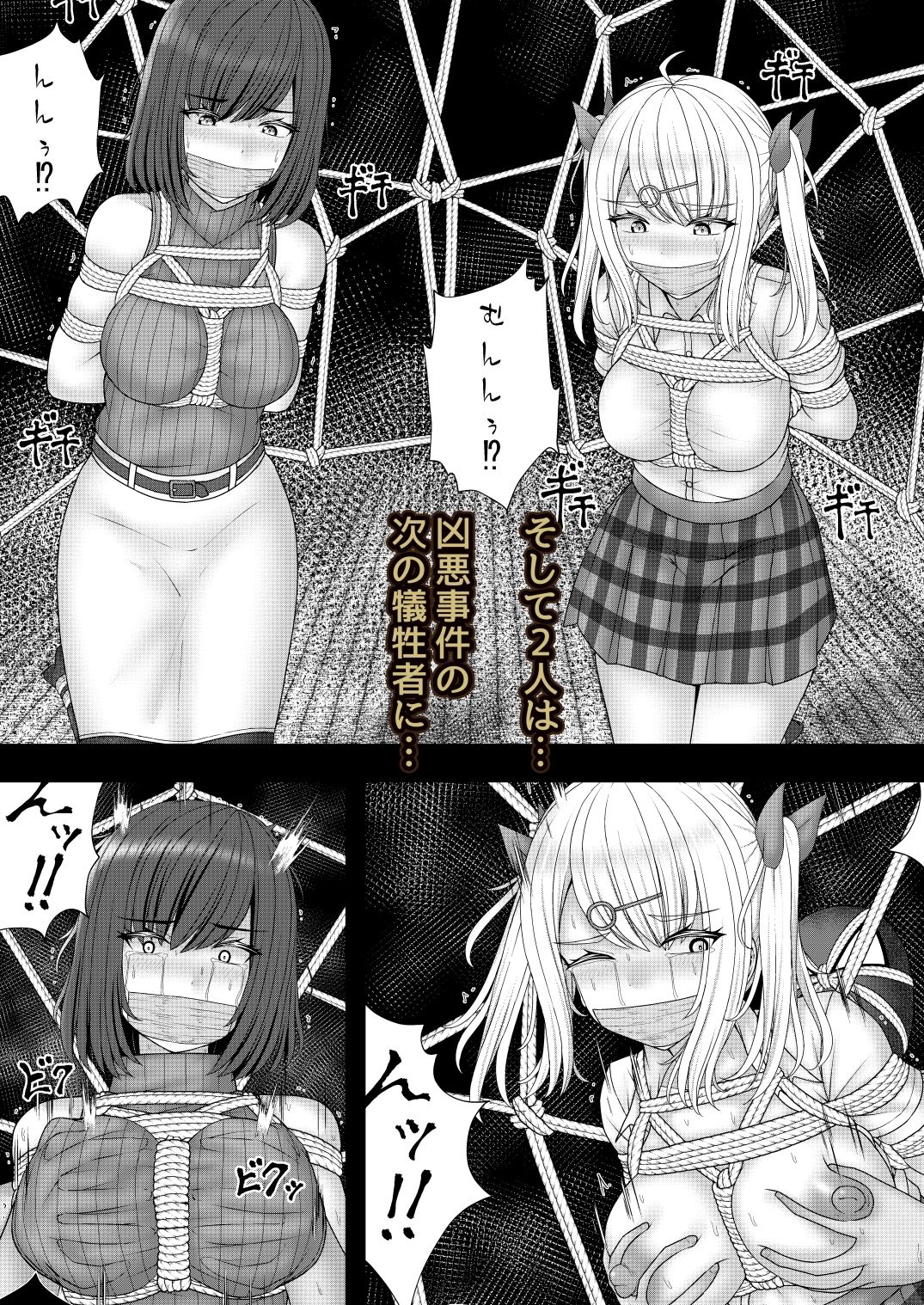 縄蜘蛛の餌 蜘蛛の巣の罠 サンプル画像 5