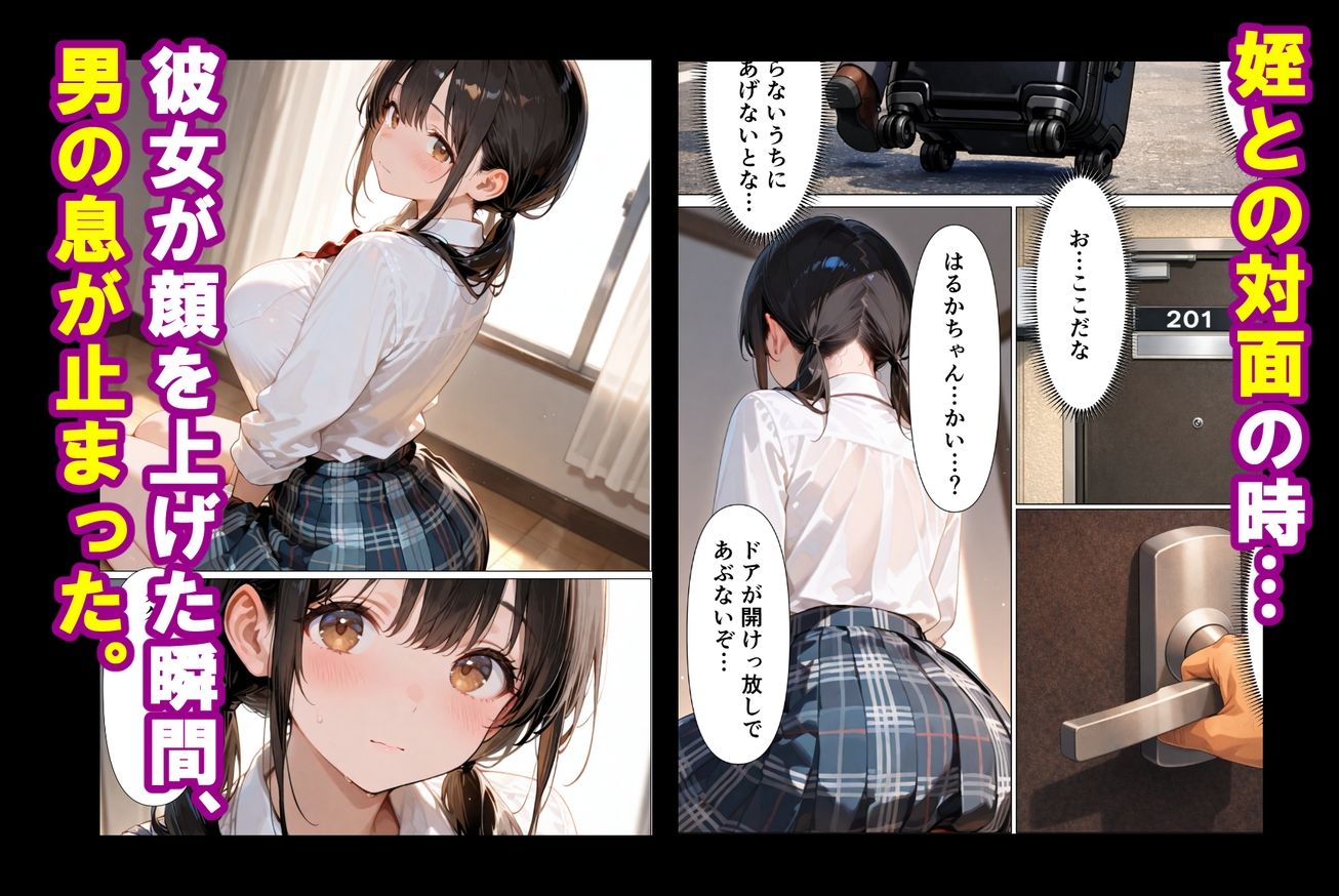 実姉を奪い損ねた男が、姉にそっくりな姪に、執着の精子をどろどろと注ぎ込む話 サンプル画像 5