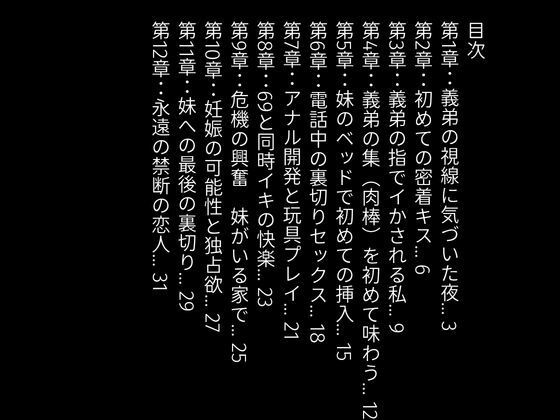 【官能小説】妹の旦那に夜●いするバツイチ義姉｜Cyber Lotus Lab サンプル画像 1