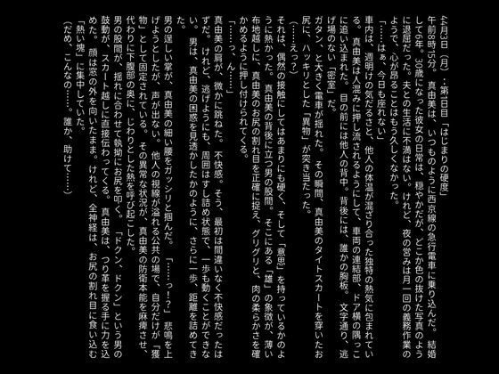 【官能小説】快楽の通姦快速【画像200枚以上（差分含む）】｜Cyber Lotus Lab サンプル画像 9