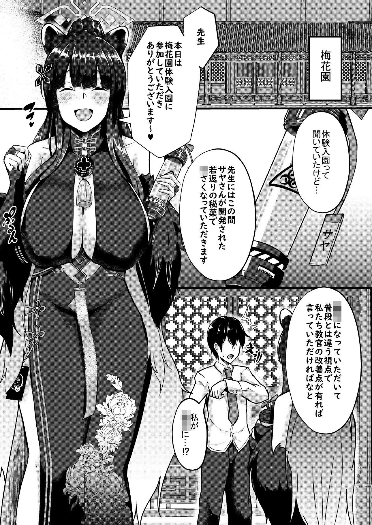 -Bl○e Archive- Summary Book｜CICADA サンプル画像 2