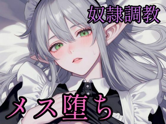 高慢なハイエルフを奴●調教してメス堕ちさせる話｜境界熱
