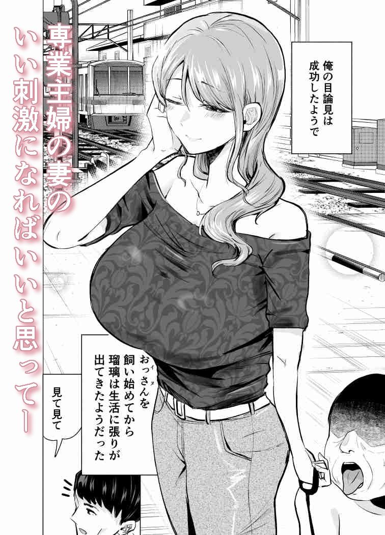 妻がおっさんに寝取られた話｜たつわの里 サンプル画像 3