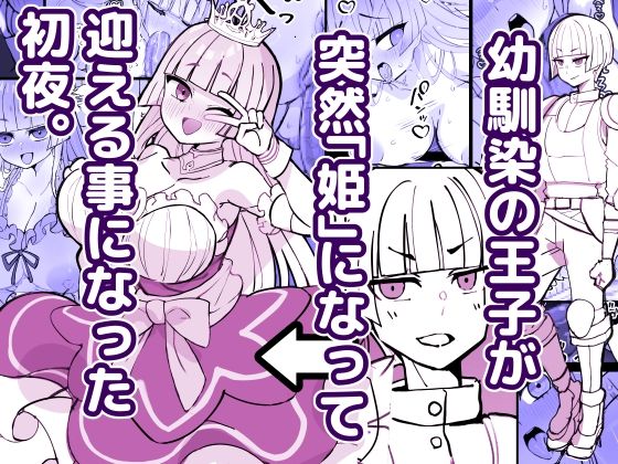 幼馴染の王子が突然「姫」になって迎える事になった初夜。｜ひだかまいにち