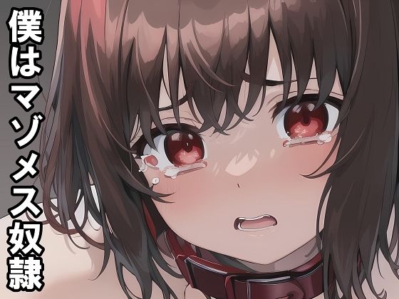 【小説＋おまけイラスト7枚】僕はマゾメス奴●I｜melt