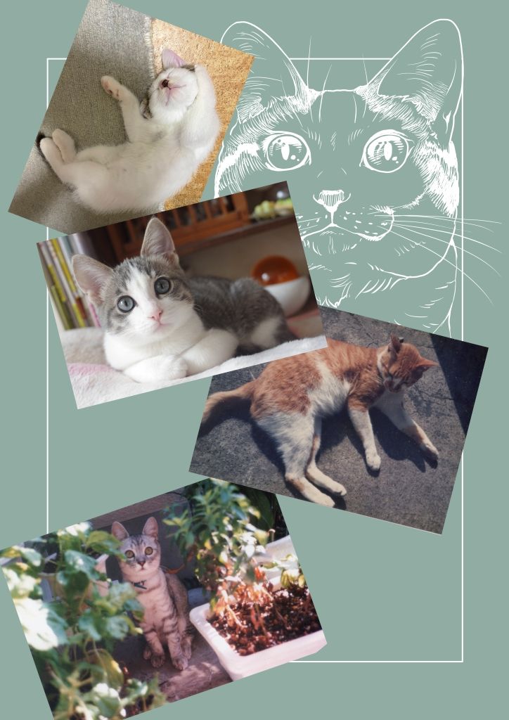 ねこのあれこれ｜乱痴気事虫所 サンプル画像 8