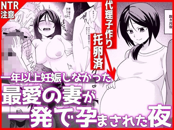 1年以上妊娠しなかった最愛の妻が一発で孕まされた夜｜音鳥心愛