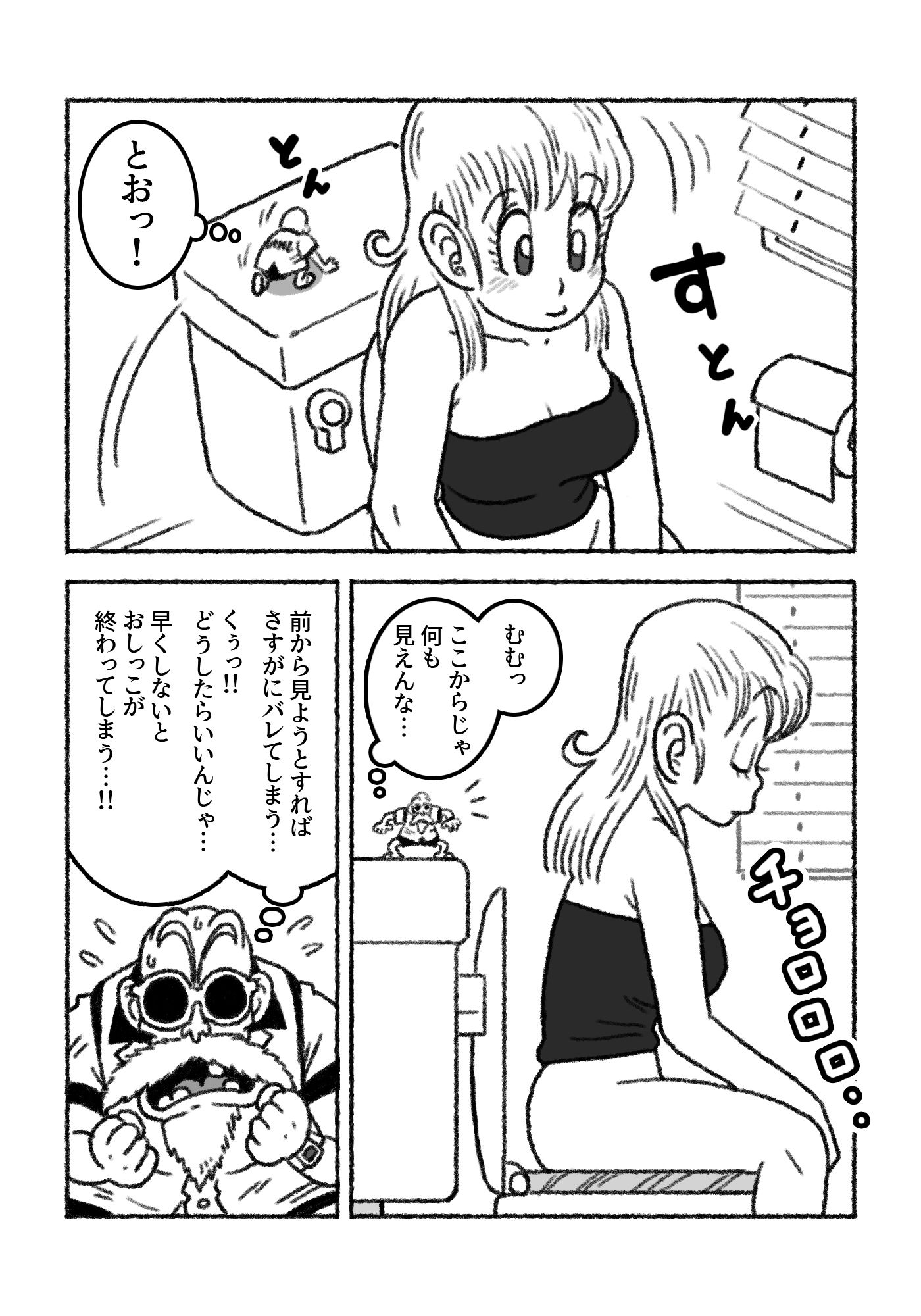 ミニミニ大作戦 in カメハウス|屋根裏工房 サンプル画像 4