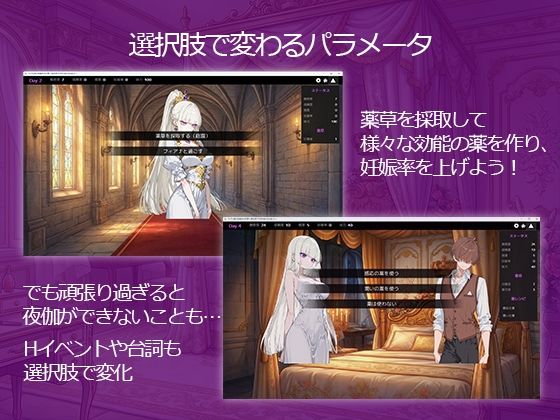 ツンデレ姫と夜伽の10日間 〜異世界で子作り命じられました〜 サンプル画像 5