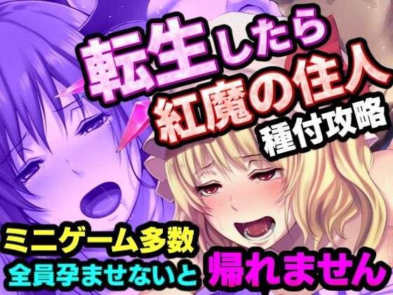 転生したら紅魔館の住人だった件｜夢幻Paradox