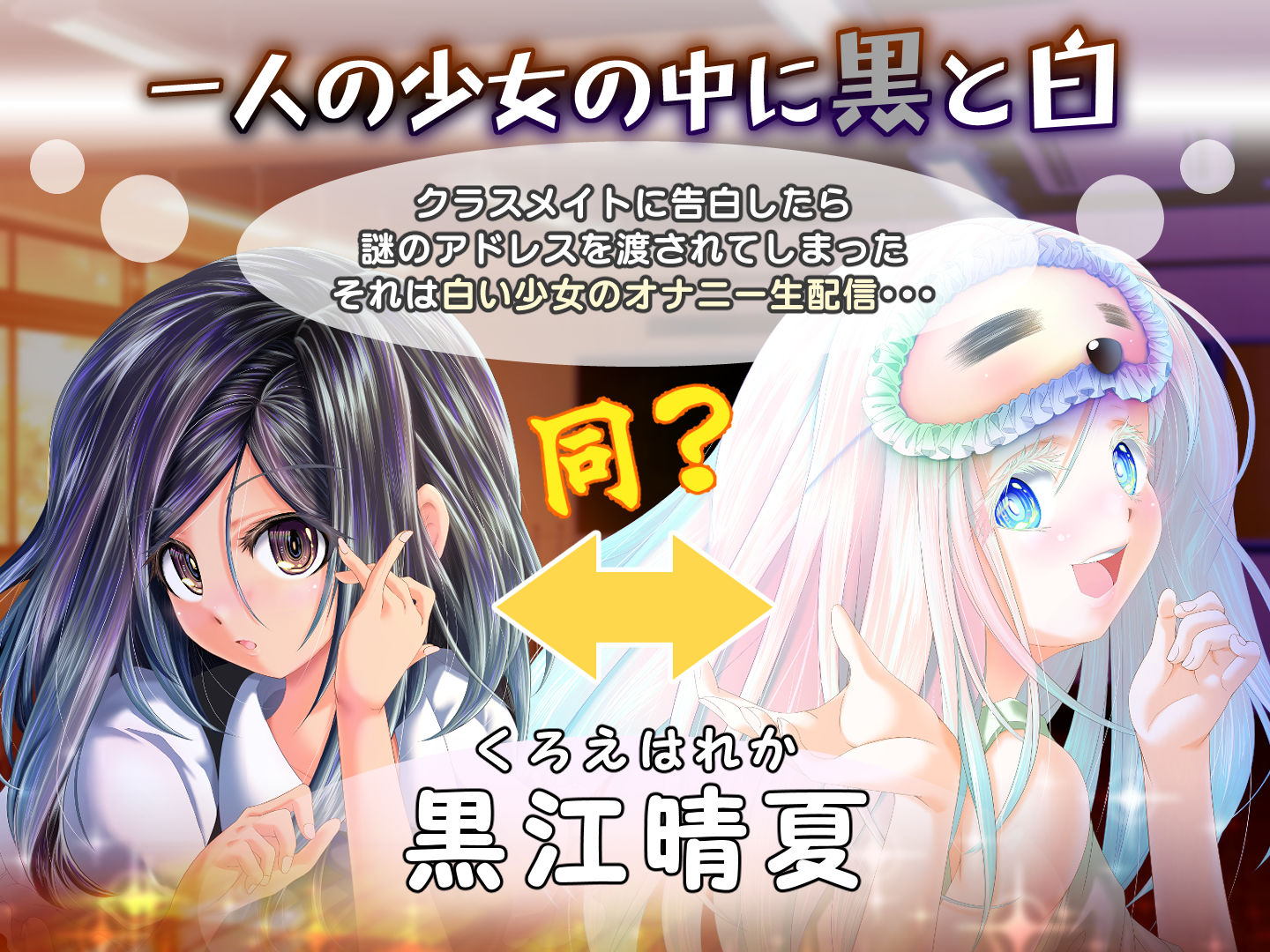 夕暮れまぐれの黒と白｜ほぷほぷチーム サンプル画像 1