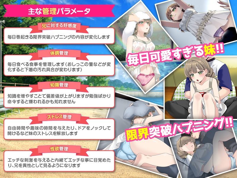 いもしむ  お兄ちゃん監修！妹育成シミュレーター｜ふること風味 サンプル画像 3