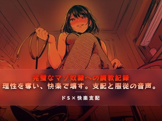 完璧なマゾ奴●への調教記録｜夜の息抜き