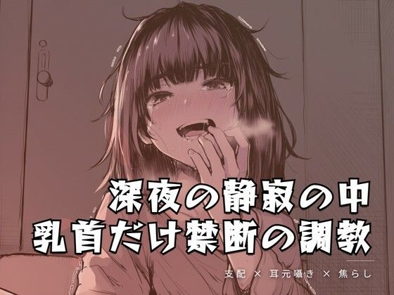 深夜の静寂の中、乳首だけを嬲る禁断の調教｜夜の息抜き