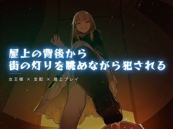 屋上の背後から街の灯りを眺めながら犯●れる｜夜の息抜き