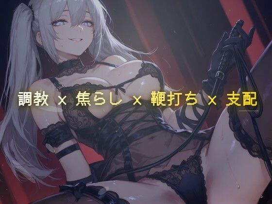 線香の燃え尽きるまで 〜調教室で鞭の音だけが響く焦らし執行〜｜夜の息抜き