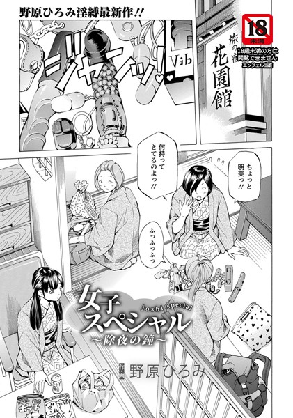 女子スペシャル 〜除夜の鐘〜【単話】（単話）｜野原ひろみ
