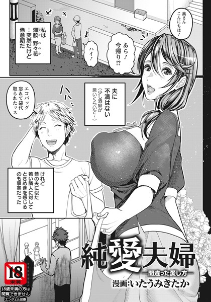 純愛夫婦 〜間違った愛し方〜【単話】（単話）｜いたうみきたか